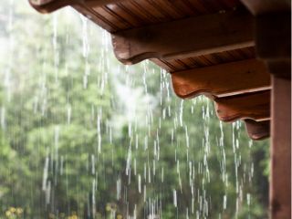Rain Pouring Off Wooden Roof Edge in Blaine MN Heavy rainwater streaming off the edge of a wooden roof with green trees in the background in Blaine, Minnesota.